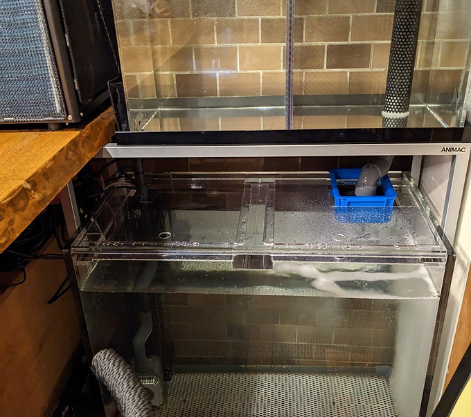 飲食店活魚水槽
活魚水槽製造販売
活魚水槽メーカー
業務用いけす
業務用活魚水槽
HONUMI
ホンマもんの海つくったれ株式会社
関西活魚水槽メーカー
近畿活魚水槽メーカー