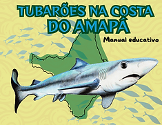 Tubarões na Costa do Amapá-1.png