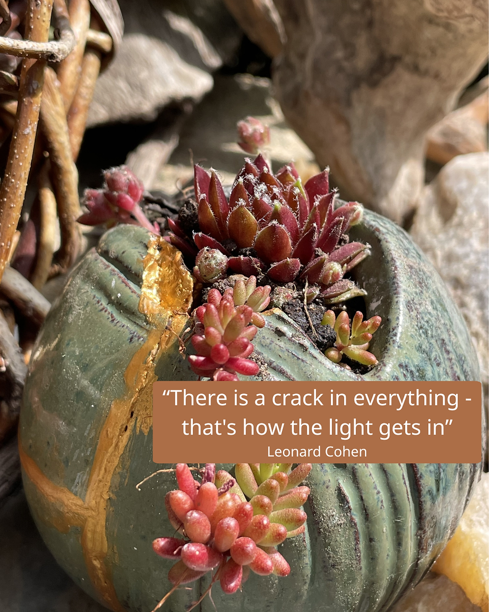 "There is a crack in everything - that's how the light gets in" 