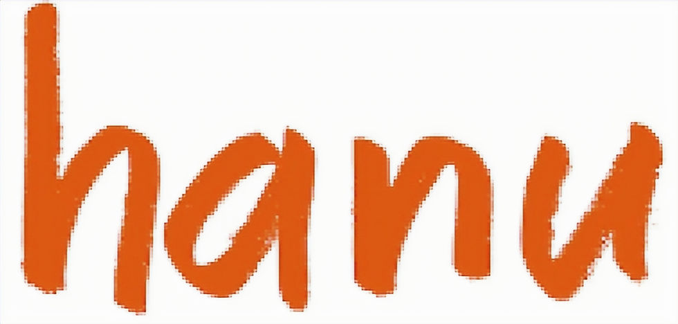 Hanu Project ontwikkelaars_edited_edited.jpg