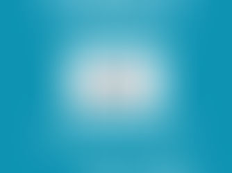 2月セールのご案内