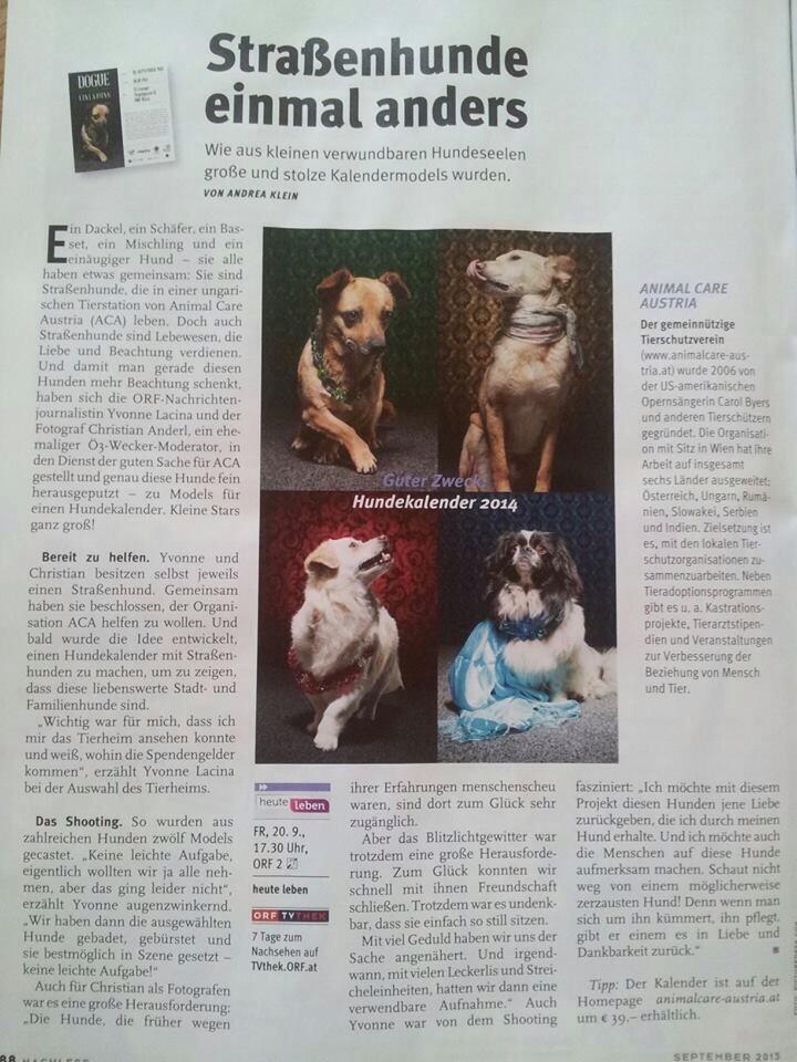 ORF Nachlese, 31.08.2013