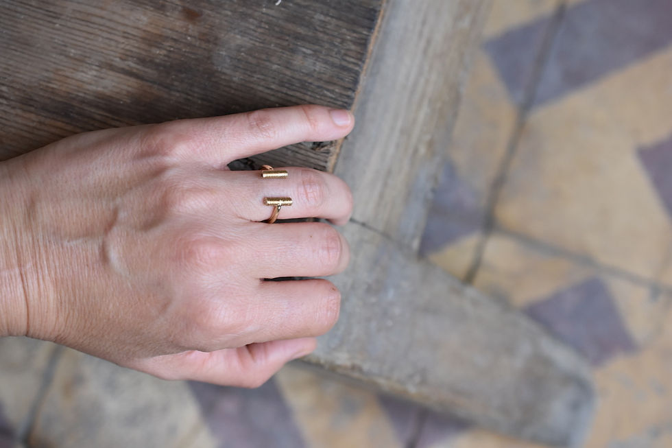 תמונה ממוזערת: RUSTA DAWN & DARK