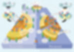 Derk De Kloet-Henri Goldsmann-29-Infographic Logistical Static-Rabobank -Henri Goldsmann