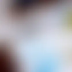 Budget and Risk Assessment