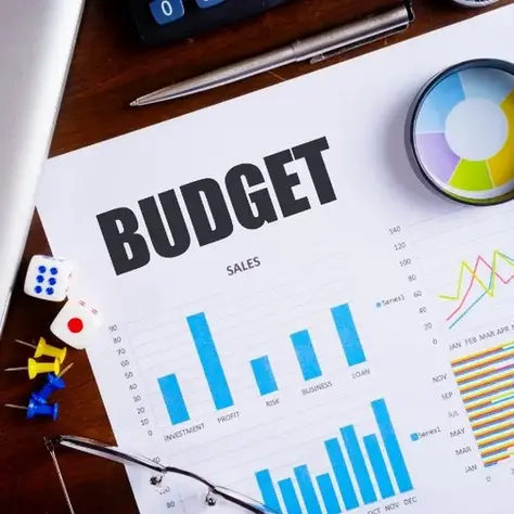 Budget and Risk Assessment