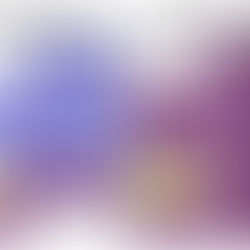 Schedule, Call sheet, Shot List