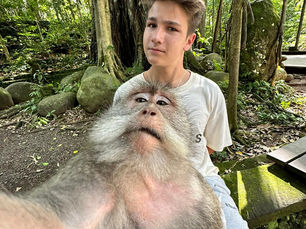 Making of preliminary task