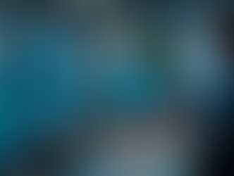 Tailored Human Capital Management Solutions for Success