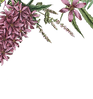 Illustrated Flowers 2