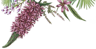 紫色の花イラスト