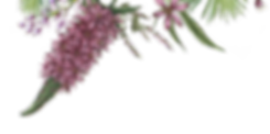 Illustrated Flowers 2