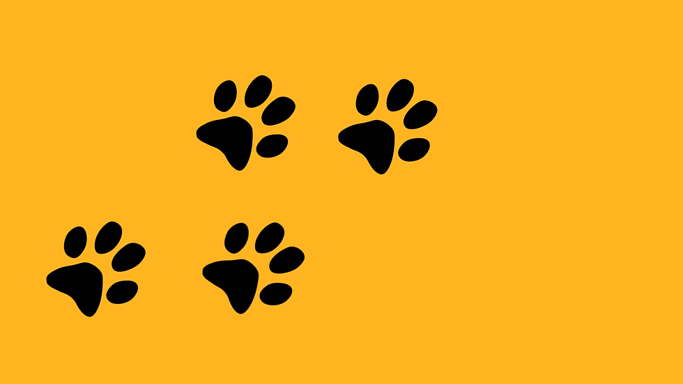 Background for Wix.png