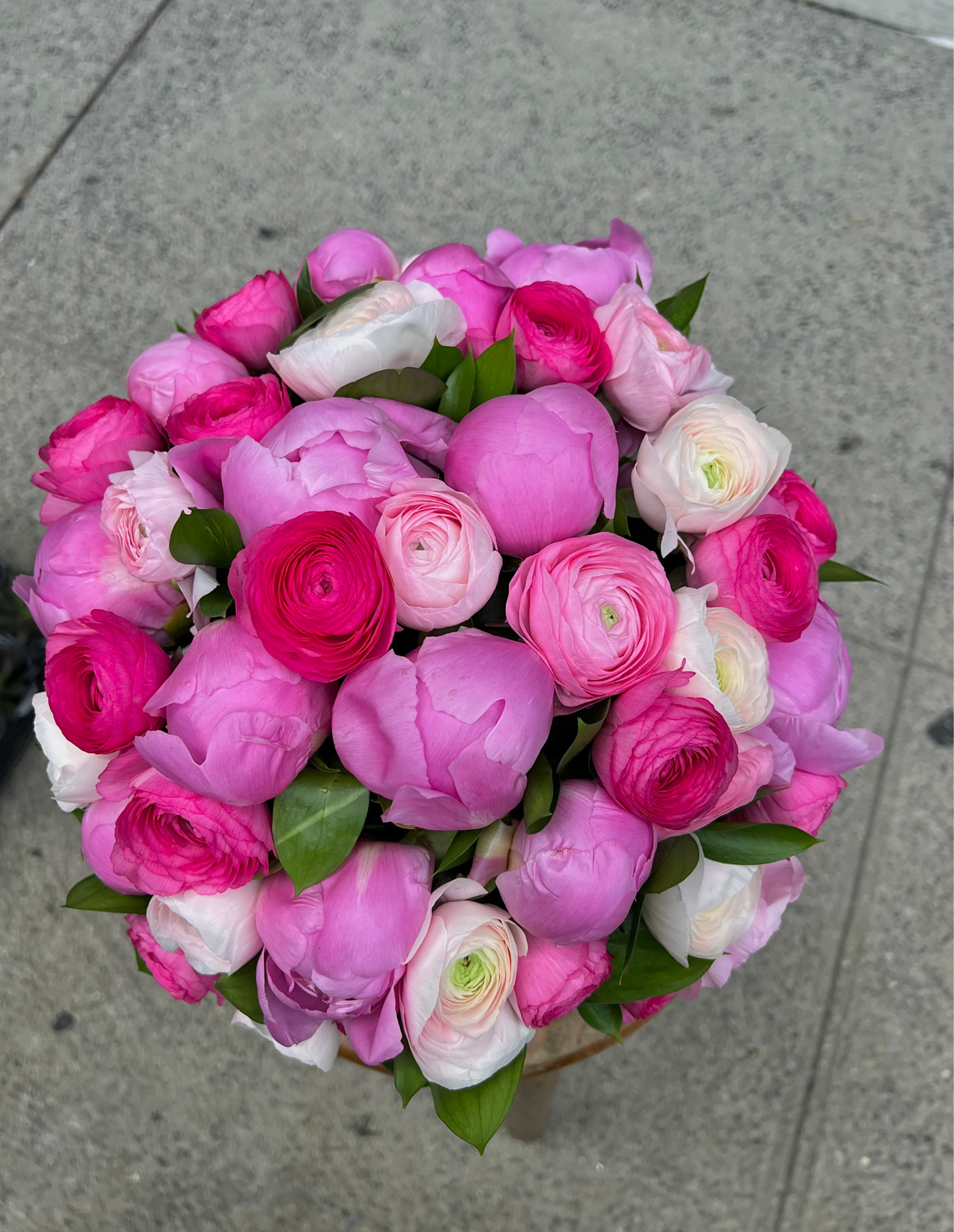 Peonie's Dream