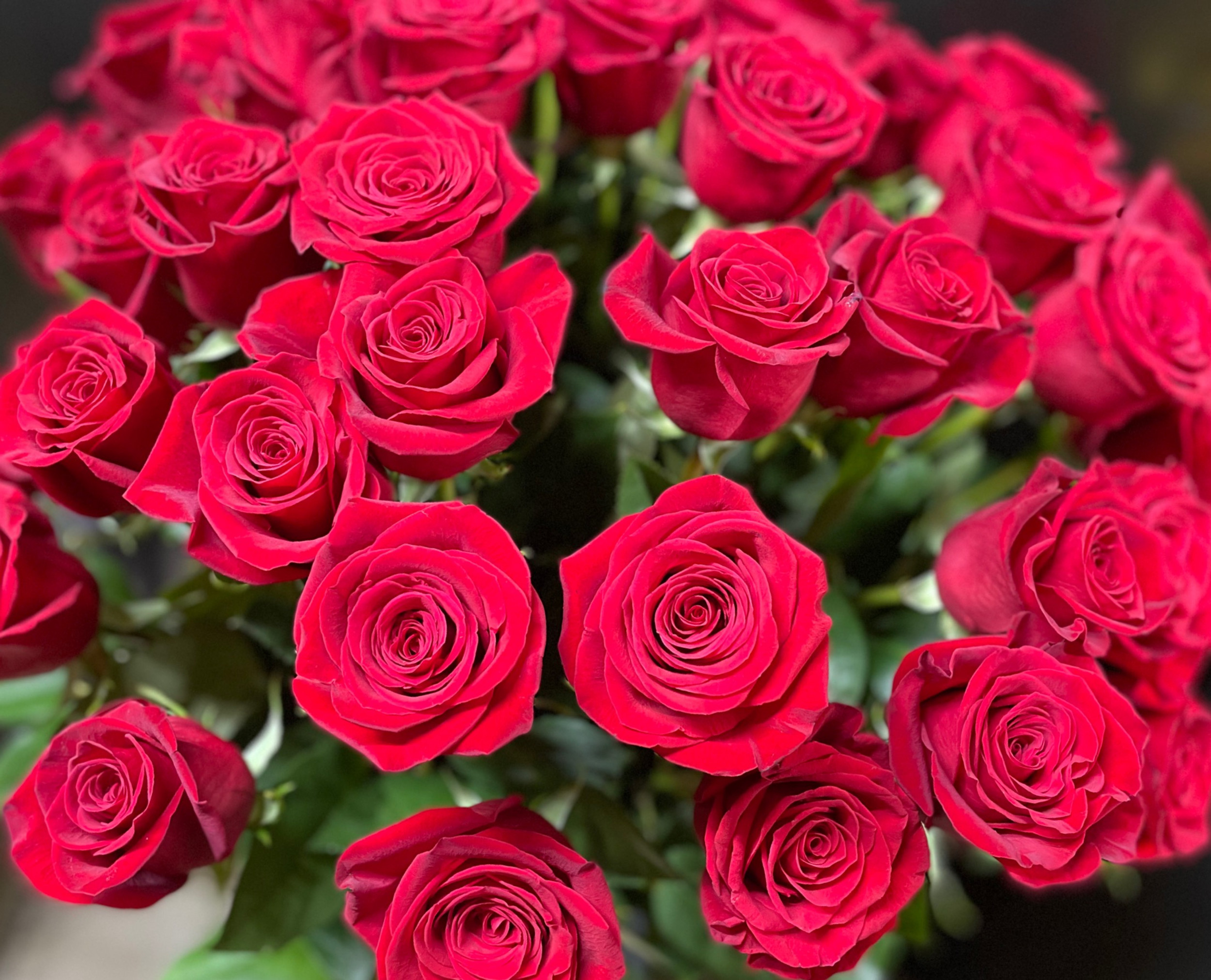 Alex Roses Flowers New York Roses | alexander florals