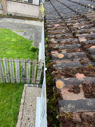 Gutter Cleaning Dundak
