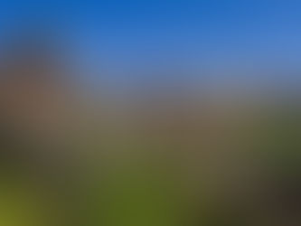 Un pasadía sin igual en Las Merindades