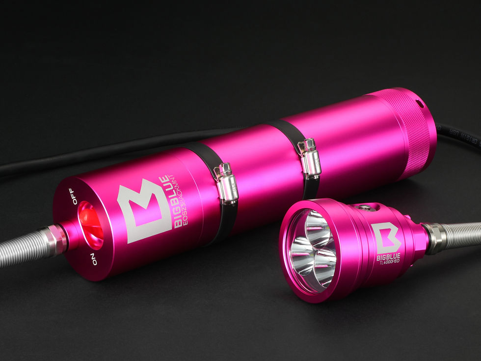 Thumbnail: TL4000P EOS23 Backmount / Sidemount