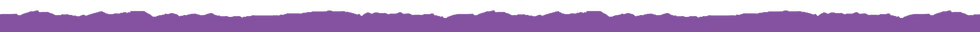 SG_website_ripped.png
