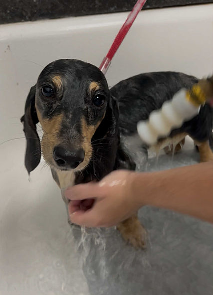 Dach Bath.jfif