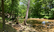 Creek