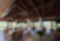 salon-interno (1).png