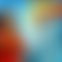 ¿Por qué tu empresa necesita una marca fuerte? Identidad, conexión y confianza