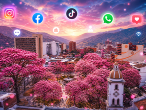 Vista de Ibagué con ocobos rosados y logos de redes sociales en el cielo representando el crecimiento de negocios a través de redes sociales