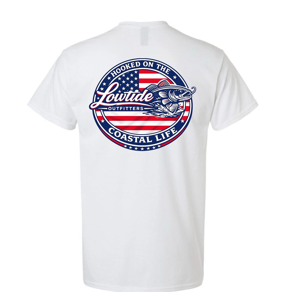 Thumbnail: American Flag Lowtide T-Shirt
