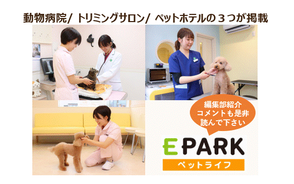 9.EPARK掲載.gif