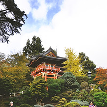 Jardins japonais