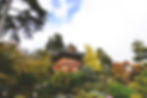 Japanese Gardens