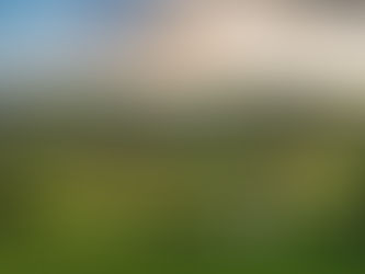 Why Are Billionaires Buying Up America's Farmland?