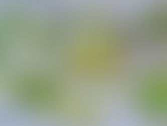 Build Your "Whole Body" Immunity by De-Worming and Parasite Cleanses!