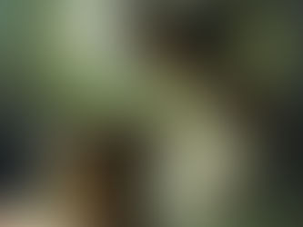 Great Depression Survival Tips