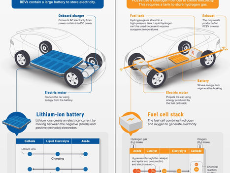 How Haiti Could Become The Real Wakanda?