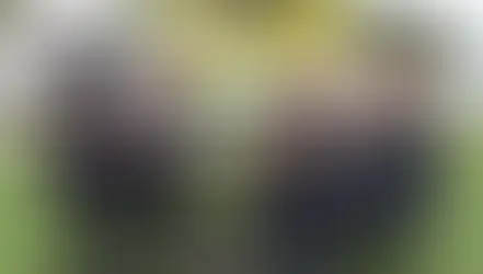 Mulheres artistas do sertanejos se preparam para gravar o DVD só vai que é moda  