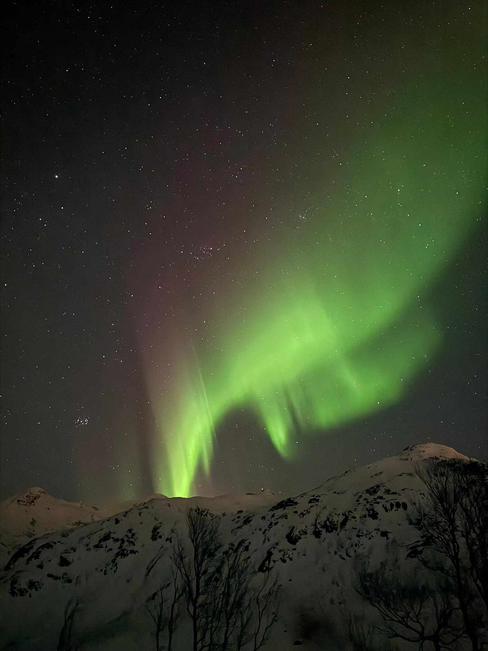 Tromsø – wspólne polowanie na zorzę!