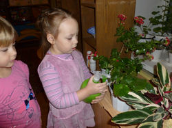 Уход за растениями.