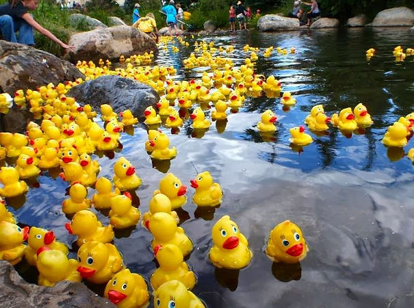 Duck-Race.jpg