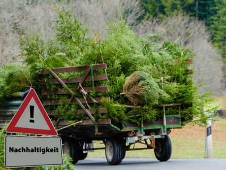Weihnachtsbaum ade: Landjugend Bösel sammelt ein 