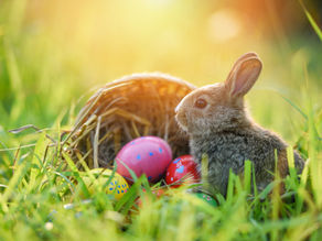 Ostern: Wunder und Wochenende