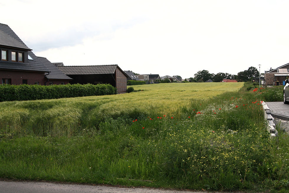 Bösel spart rund 55 000 Euro