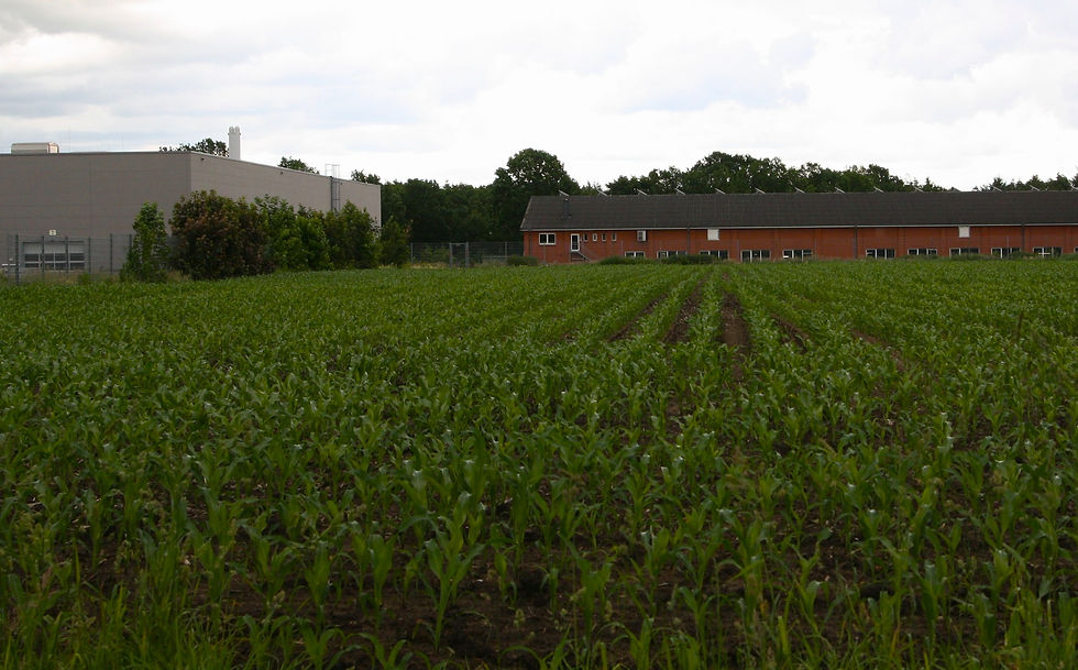 Die umstrittene Fläche in der Nachbarschaft eines Landwirts und eines Möbelfabrikanten. Foto: Martin Pille