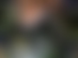 Einsatz in Bösel: Brandmelder verhindert Schlimmeres