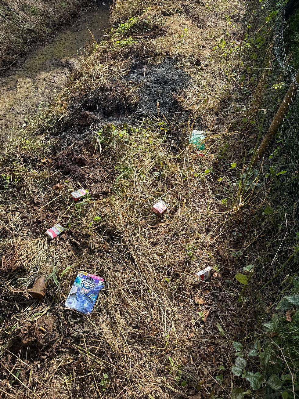 Es wurden  an der Brandstelle mehrere Zigarettenreste gefunden.