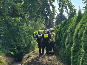 Wiesenbrand: Feuerwehr verhindert Ausbreitung auf Wohnhäuser