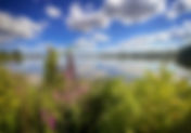 Die verkannten Helden der Landschaft entdecken