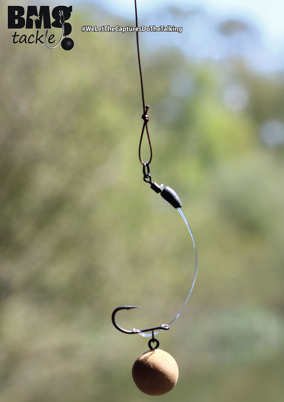 Ready Made Rigs | BMG Tackle