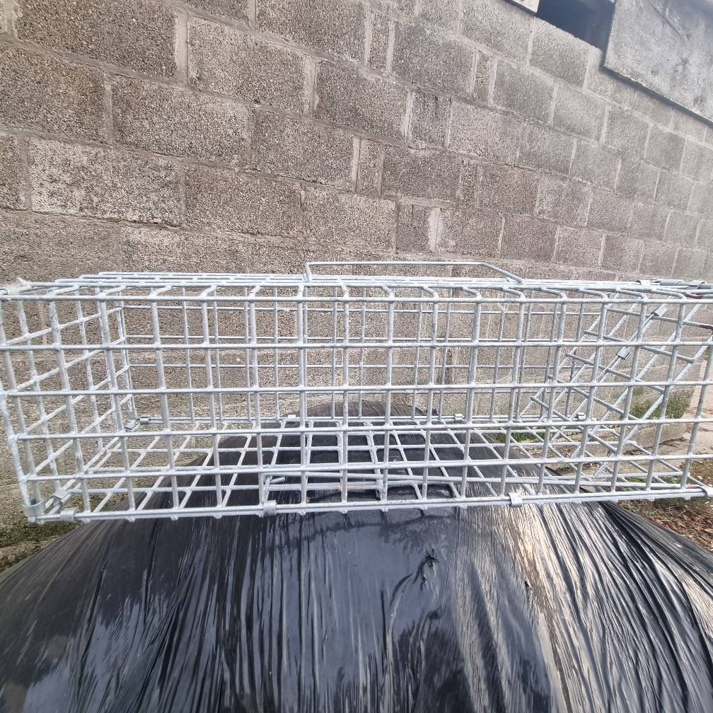 single catch rat trap